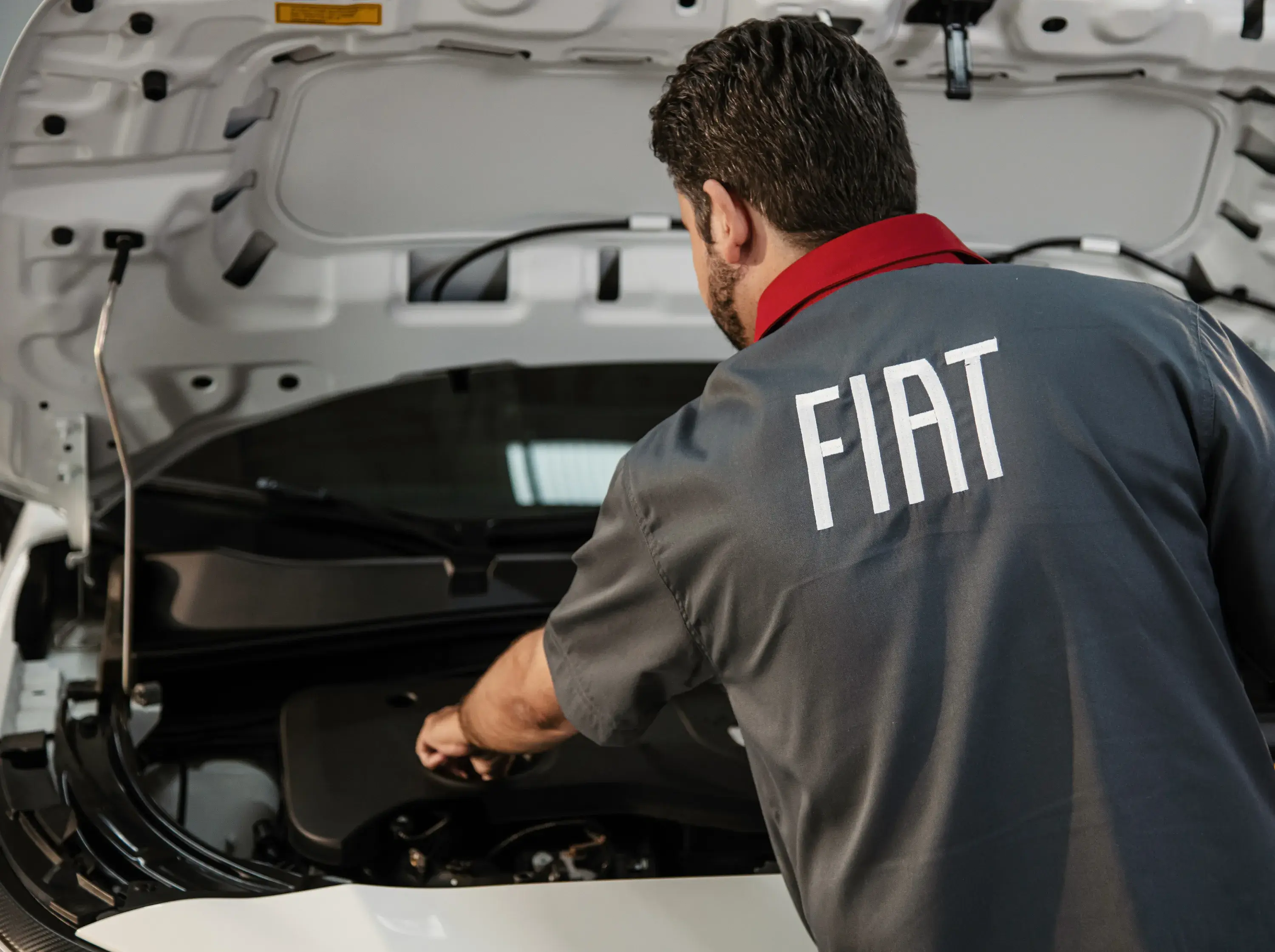 Tudo sobre servicos do Fiat Pulse